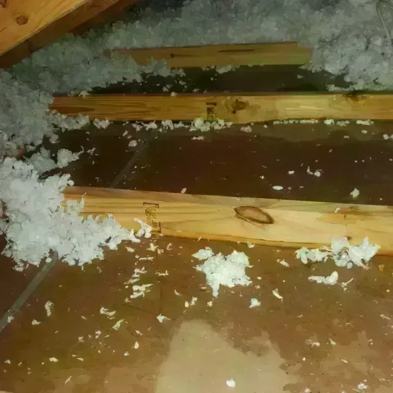 Attic Water Damage in Sunset, UT