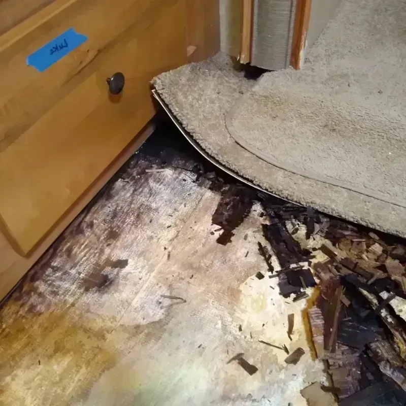 Wood Floor Water Damage in Sunset, UT